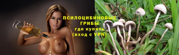 сатива Бутурлиновка