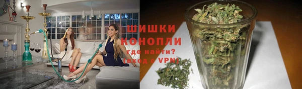 PSILOCYBIN Болохово