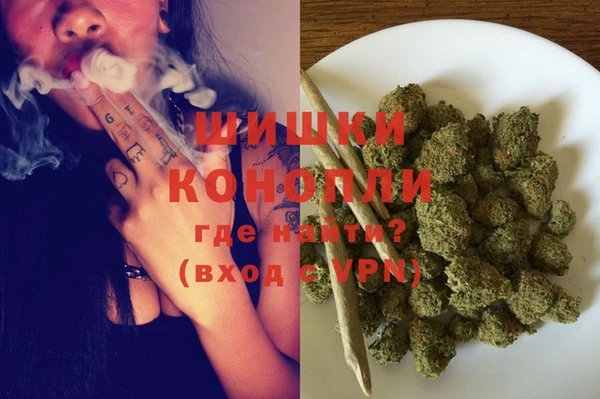 сатива Бутурлиновка