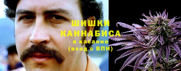 PSILOCYBIN Болохово