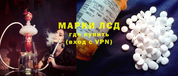 ПСИЛОЦИБИНОВЫЕ ГРИБЫ Болотное