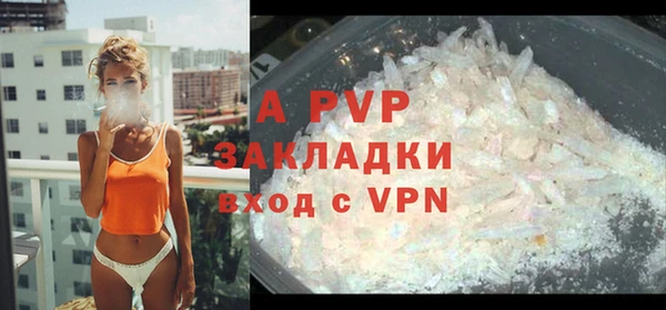 ПСИЛОЦИБИНОВЫЕ ГРИБЫ Болотное