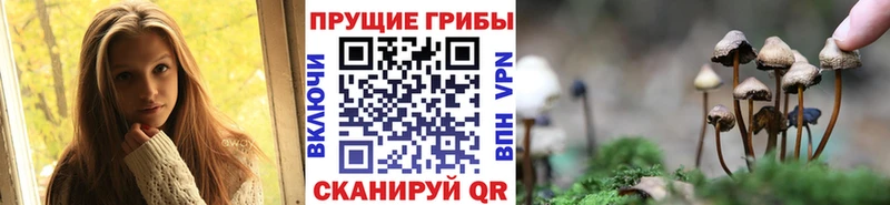 Галлюциногенные грибы мухоморы  Дрезна 